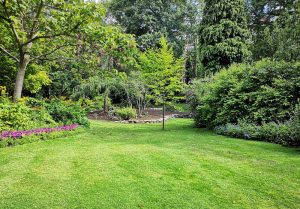 Optimiser l'expérience du jardin à Châtenay
